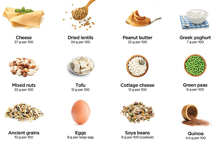 What Are The Best High Protein Foods For Vegetarians 